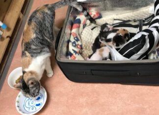 「五感を使って命に触れる」