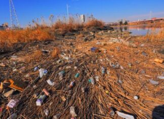 増え続ける河川ゴミと闘う